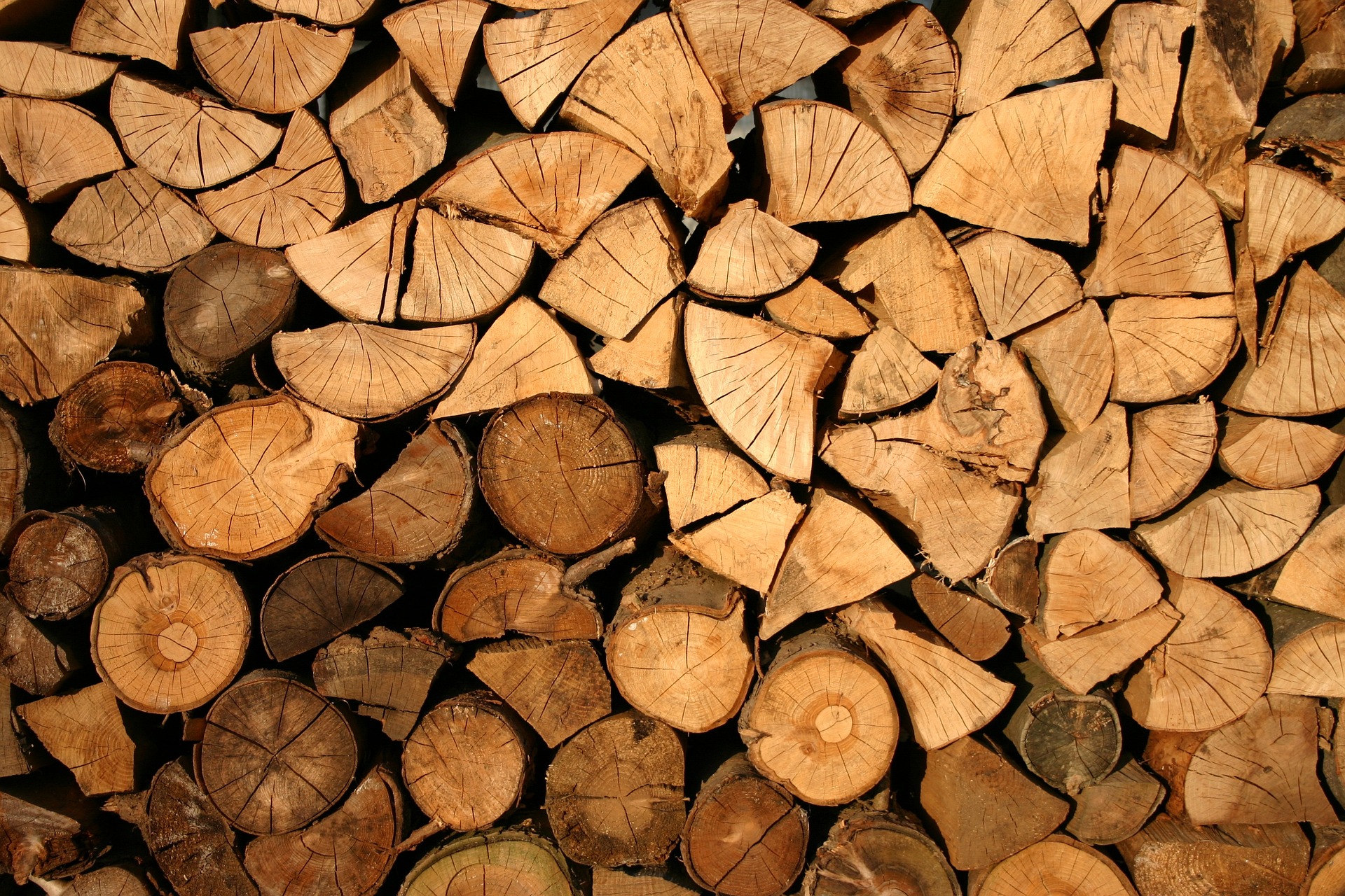 Les indispensables d’un bois de bonne qualité et sa rentabilité ! Quel poêle ? Comment le choisir ? À quel période ?